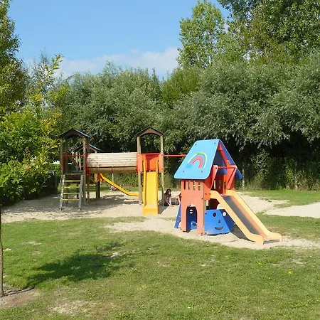 Des Roses Kemp Quend